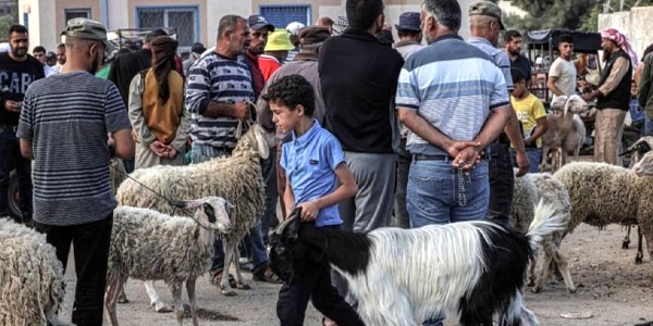 غزة بلا أضاحٍ للعام الثاني