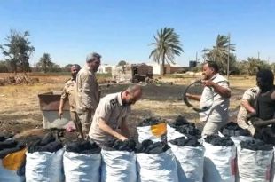 ضبط مزرعة مخالفة تُعدّ لإنتاج الفحم وقطع الأشجار في منطقة الطلحية ببنغازي