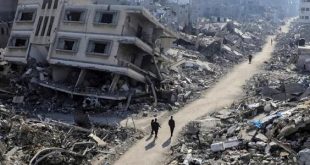 غزة: الاحتلال يوقع 144 شهيداً و560 جريحاً خلال 24 ساعة