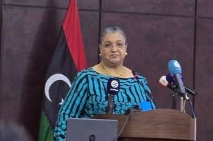 نعيمة الحامي : تيتيه تبحث بالزاوية خيارات المسار السياسي