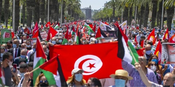 ليبيا محطة رئيسية في "قافلة الصمود" المغاربية المتجهة لكسر حصار غزة