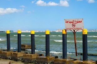 الحكم المحلي: المواقع غير الصالحة للسباحة تصل إلى 10% من إجمالي الساحل
