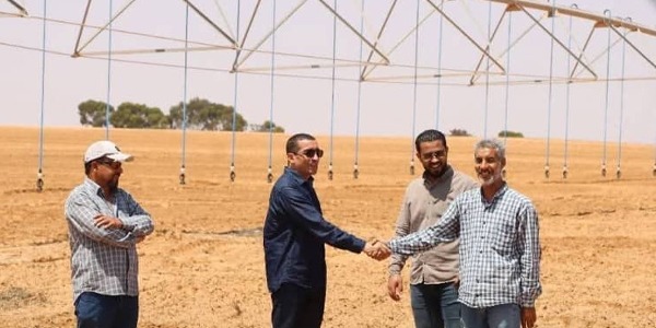 جولة ميدانية لمتابعة سير العمليات الزراعية ورفع كفاءة الإنتاج