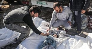 ارتفاع حصيلة الشهداء في غزة إلى أكثر من 55 ألف جراء العدوان الإسرائيلي 