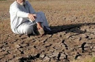 تدهور مقلق للأراضي الزراعية في العالم العربي.. وتحذيرات من فجوة غذائية مستقبلية
