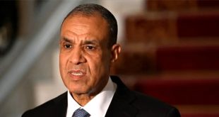 وزير الخارجية المصري: العمل جارٍ على هدنة 60 يومًا في غزة