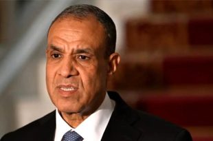 وزير الخارجية المصري: العمل جارٍ على هدنة 60 يومًا في غزة