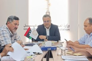 النظر في عقود أعضاء هيئة التدريس المغتربين خلال اجتماع بوزارة العمل