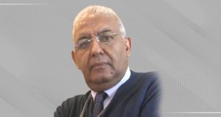 د. محمد أحمد الشحاتي