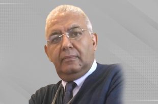 د. محمد أحمد الشحاتي