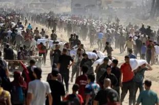 الصحة العالمية: مجاعة غزة تقتل أكثر من ألف وتهدد حياة آلاف الأطفال