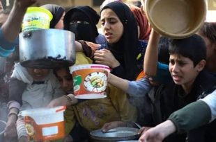 650 الف طفل يواجهون الموت جوعًا في غزة