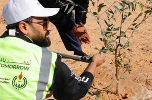 مؤسسة النفط تطلق المرحلة الثالثة من مبادرة “مليون شجرة”