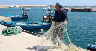 نشرة الصيد البحري اليوم الأحد