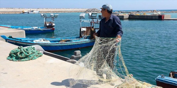 نشرة الصيد البحري اليوم الأحد