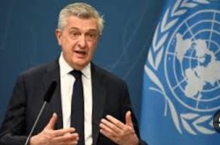 سلطات الاحتلال ترفض تجديد تأشيرة دخول مسؤول اممي