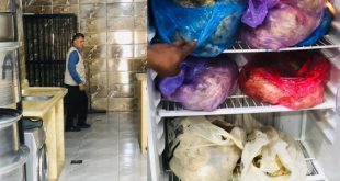 جملة من المخالفات الصحية في معامل وشركات التموين بالبيضاء