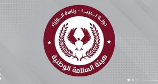 هيئة السلامة الوطنية