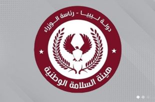 هيئة السلامة الوطنية