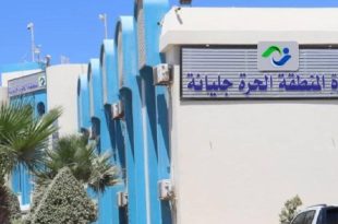 ميناء جليانة يستقبل أكثر من 321 ألف طن من شحنات الغلال خلال النصف الأول من 2025
