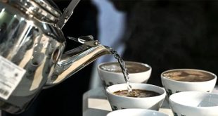 تحذير صحي: الإفراط في شرب القهوة خلال الحر قد يسبب الجفاف