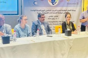 ورشة عمل حول استراتيجية وطنية شاملة لنهج الصحة الواحدة