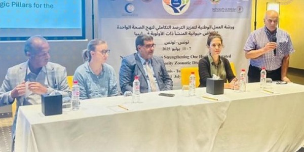ورشة عمل حول استراتيجية وطنية شاملة لنهج الصحة الواحدة