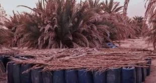 إحباط عملية تهريب ضخمة في أجخرة