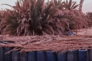 إحباط عملية تهريب ضخمة في أجخرة