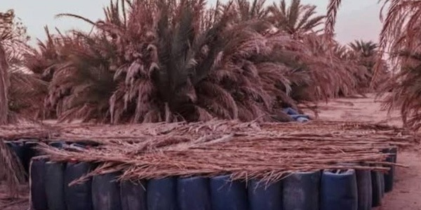 إحباط عملية تهريب ضخمة في أجخرة