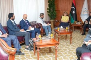 ديوان المحاسبة يبحث مع برنامج الأمم المتحدة الإنمائي سبل تعزيز التعاون
