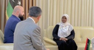 لقاء ليبي تركي لتعزيز التبادل الثقافي والفني