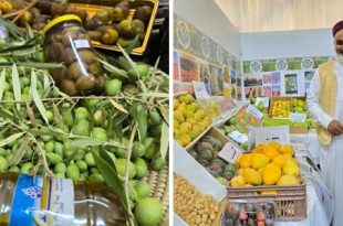 افتتاح معرض الكفرة الأول للتنمية الزراعية