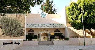 البحوث الزراعية يُحذّر من خطر اندثار "الشيح البري"