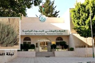 البحوث الزراعية يُحذّر من خطر اندثار "الشيح البري"