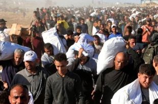 برنامج الأغذية العالمي: سكان غزة يموتون جوعاً والمساعدات تتعرض للهجمات