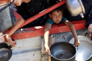 100 منظمة حكومية ودولية تحذر من مجاعة جماعية في غزة 