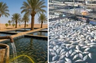 زراعة تراغن تدعو لتوسيع مشاريع الاستفادة من المياه الجوفية