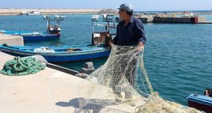 نشرة الصيد البحري المتوقعة على ساحل ليبيا اليوم الأحد