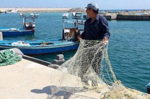 نشرة الصيد البحري المتوقعة على ساحل ليبيا اليوم الأحد