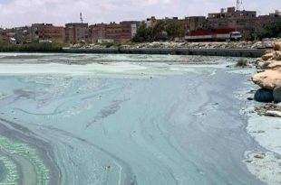 سكان عدد من احياء بنغازي يحذرون من تدهور بيئي