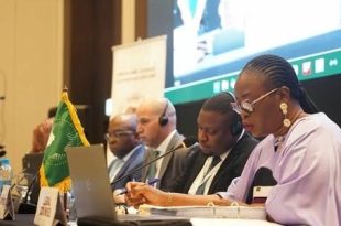 ليبيا في اجتماعات لجنة حقوق الملكية الفكرية