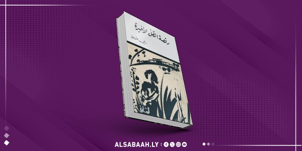 رامي طويل يكشف جراح دمشق في "رقصة الظل الأخيرة"