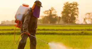 مركز البحوث الزراعية يحذر من مخاطر تراكم المبيدات منتهية الصلاحية