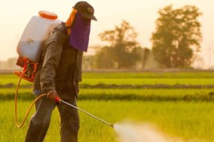 مركز البحوث الزراعية يحذر من مخاطر تراكم المبيدات منتهية الصلاحية