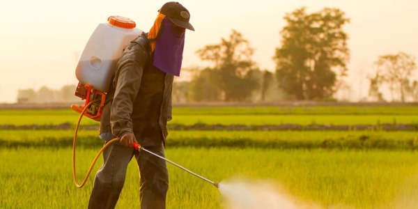 مركز البحوث الزراعية يحذر من مخاطر تراكم المبيدات منتهية الصلاحية