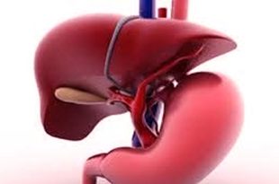 دواء تجريبي جديد "YM81" يفتح آفاقًا واعدة لعلاج تلف الكبد