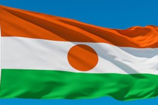 النيجر تعلن القضاء على زعيم بوكو حرام في غارة جوية