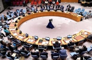 مجلس الأمن: المجاعة في غزة "أزمة من صنع البشر" باستثناء الموقف الأمريكي