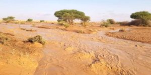 حذر مركز الأرصاد الجوية من جريان وسيول بعض الأودية على بعض المناطق الحدودية.